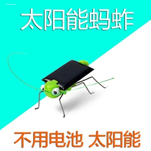 太阳能蚂蚱儿童玩具移动电源创意新颖儿童益智玩具