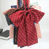 大大长柄领结波点气质学院风领花可爱jk配饰学生女制服领带青春潮