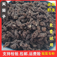 精選正品500克中藥材天葵子批發(fā)