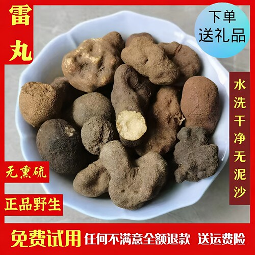 精选正品野生雷丸中药材批发价