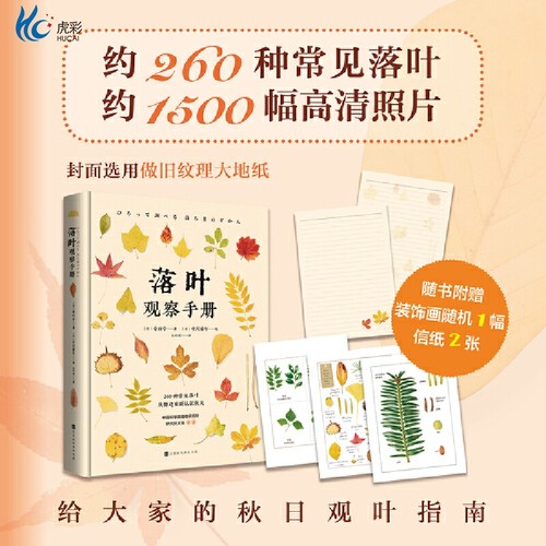 【正版现货】落叶观察手册
