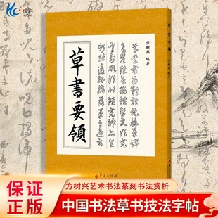 草书要领方树兴艺术书法篆刻书法赏析中国书法草书技法字帖入门符号字例草书诀疑似字草书字典正版包邮华夏出版社HX