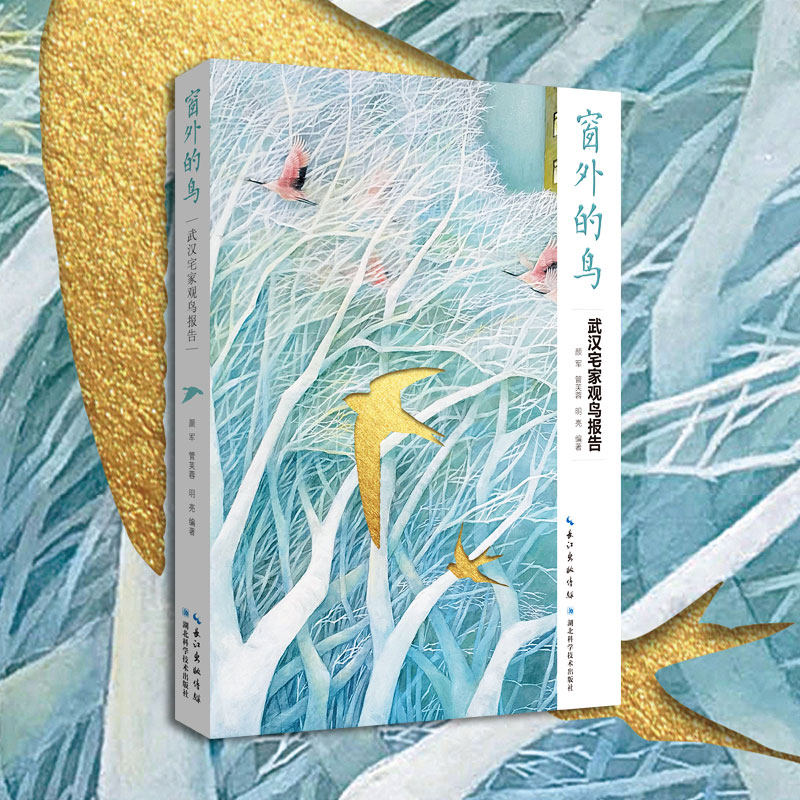 《窗外的鸟:武汉宅家观鸟报告》 武汉市观鸟协会/湖北省野生动植物保