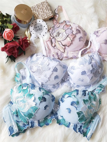 华家聚拢女士内衣奢华刺绣文胸