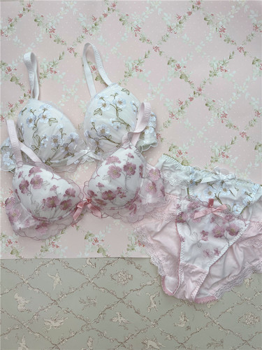 R家i女士内衣文胸聚拢圆盘