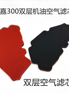 适用于龙嘉300/250 XDV250/300 VMAX300 维多利亚 机油滤空滤海绵