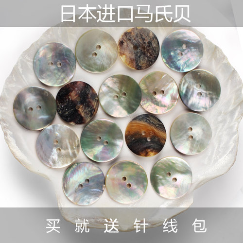 高档衣服扣天然贝壳装饰圆形