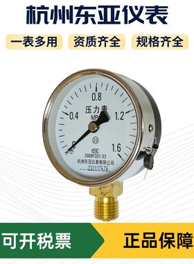 压力表杭州东亚仪表厂