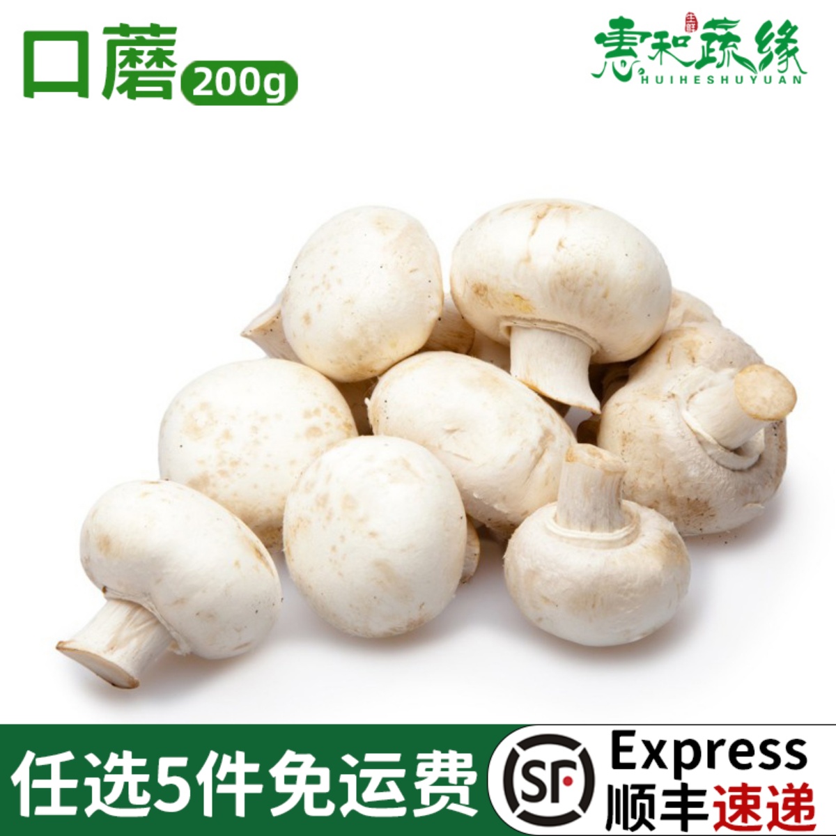 口蘑新鲜白蘑菇双孢菇
