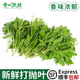 新鲜打抛叶新鲜蔬菜塔抛甲抛叶泰式 打抛饭香料食用调味调料菜