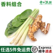 香茅柠檬叶南姜组合新鲜香料菜混合500g调料调味泰式 冬阴功汤材料