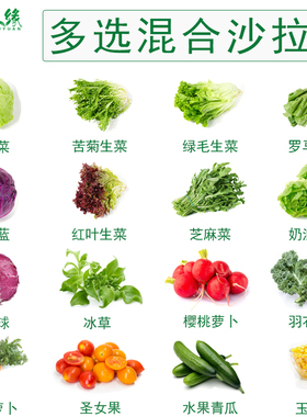 蔬菜沙拉食材新鲜混合套餐生菜轻食西餐球生菜红叶生菜羽衣甘蓝