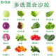 蔬菜沙拉食材新鲜混合套餐生菜轻食西餐球生菜红叶生菜羽衣甘蓝