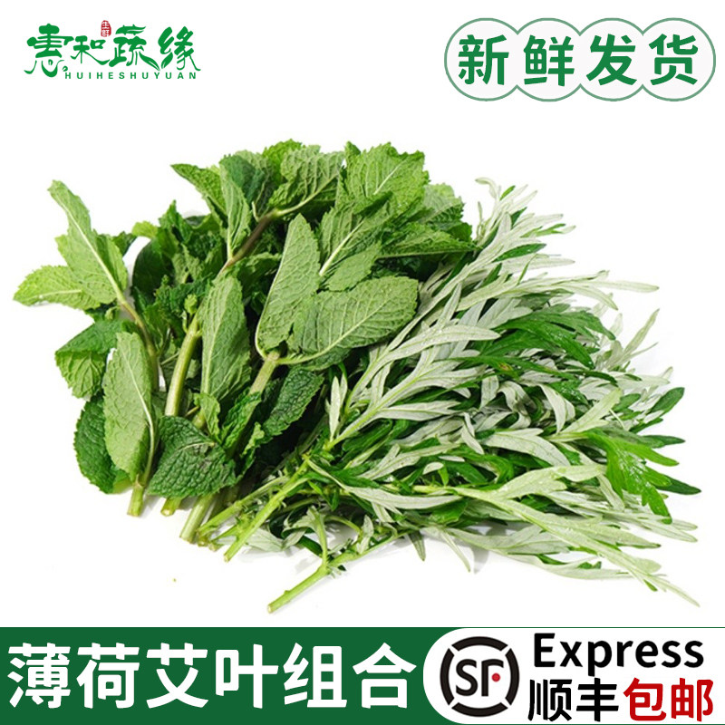 薄荷叶艾草组合新鲜清凉留兰香薄荷叶艾草叶套餐薄荷叶艾草膏食材图片