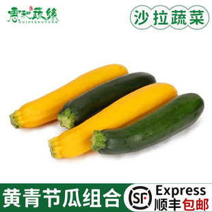 新鲜青黄节瓜组合500g 青节瓜黄节瓜西葫芦 西餐料理炒菜沙拉食材