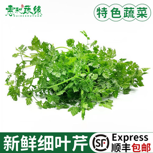 新鲜细叶芹100g西餐香料摆盘食用香叶芹有喙 欧芹山萝卜叶茴芹