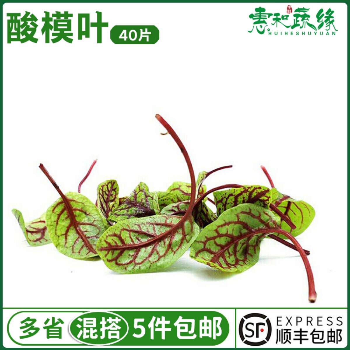 新鲜酸模叶约40片可食用红脉酸模草摆盘装饰花草蛋糕饮品点缀叶子