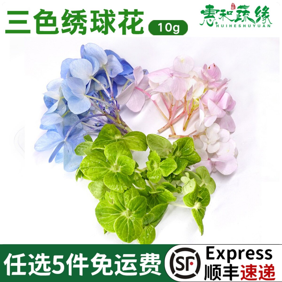 绣球花新鲜可食用红绿蓝西餐厅