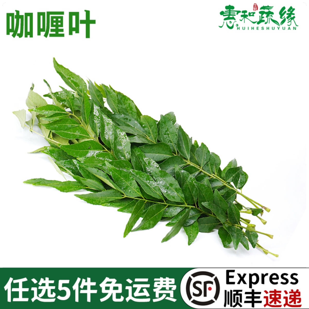 咖喱叶新鲜西餐饮香料菜调味调料