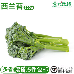 西兰苔新鲜蔬菜青花苔500g