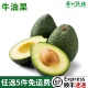 墨西哥进口牛油果2个装 150g 单果120 巨无霸大果新鲜水果鳄梨 包邮