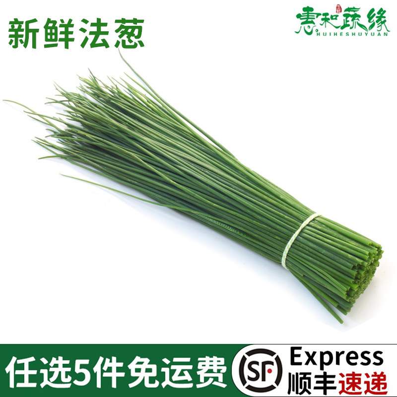 新鲜食用法葱细叶香葱蔬菜西餐烘焙香料菜装饰点缀料理沙拉杯葱