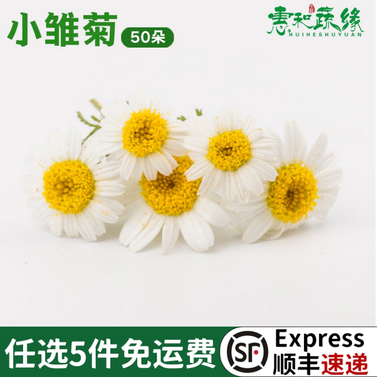 小雏菊新鲜蛋糕烘焙装饰花草