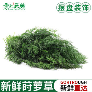 新鲜莳萝草100g食用泰式香料菜刁草土茴香酒店摆盘西餐调料蔬菜