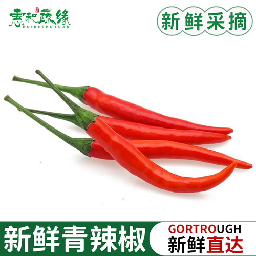 小米辣椒新鲜特辣朝天椒小米椒红椒辣椒农家自种超辣薄皮辣椒蔬菜