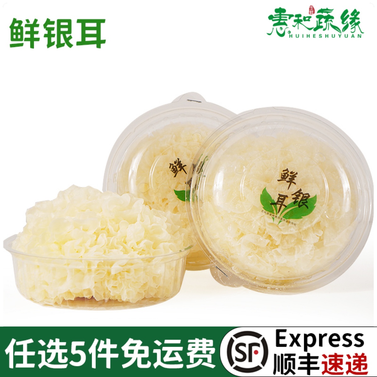 新鲜银耳活鲜白木耳糯丑雪耳非干货银耳莲子羹材料1盒活鲜糯耳