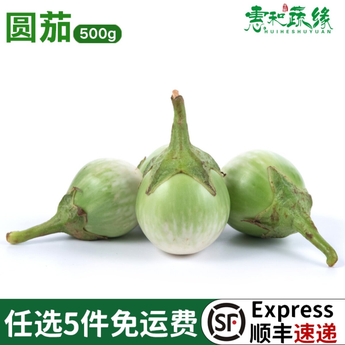 圆茄新鲜蔬菜大圆茄幼茄咖喱配料调味泰式东南亚菜食材绿圆茄子