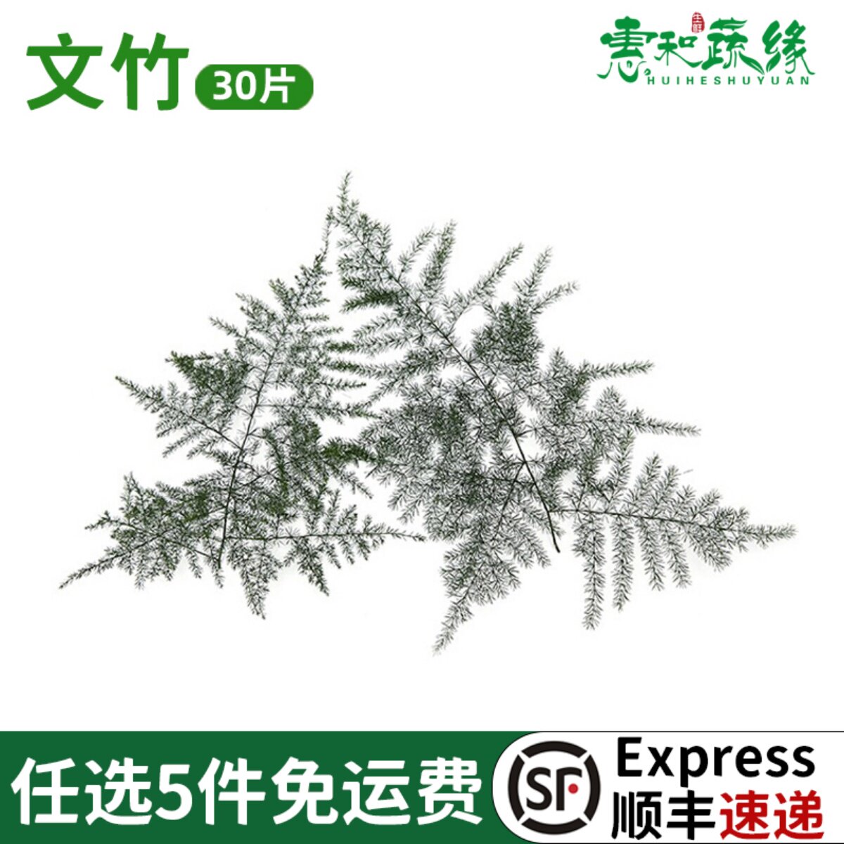 新鲜文竹鲜云片松云竹酒店西餐餐饮装饰花日式糕点摆盘花草点缀