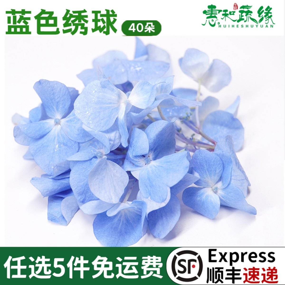 蓝色绣球摆盘花草点缀
