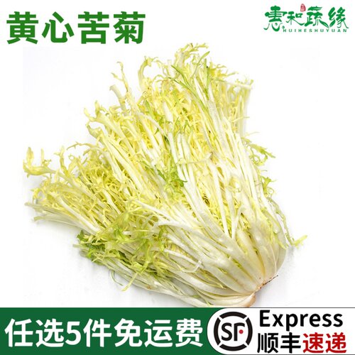 苦菊新鲜蔬菜沙拉西餐食材健身