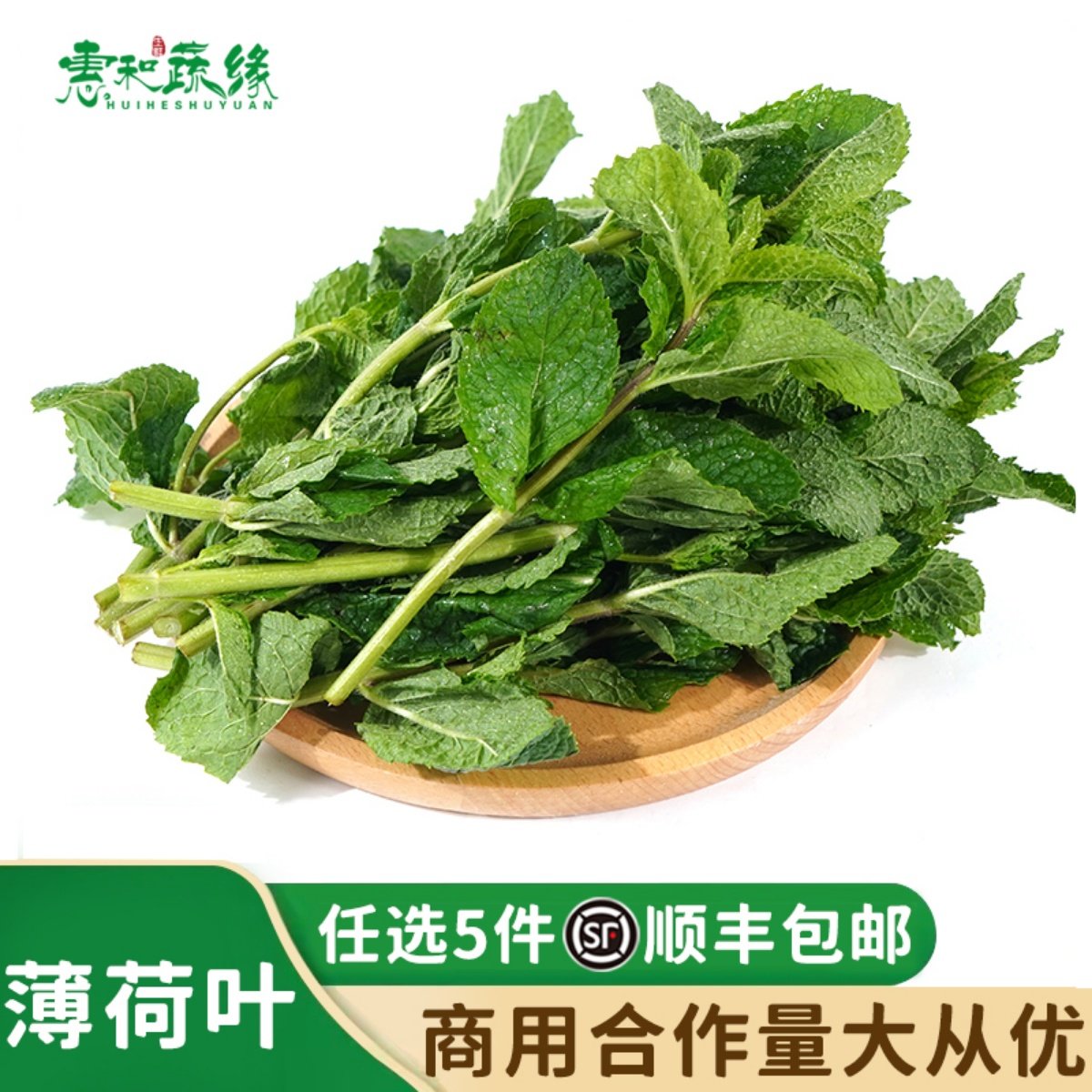 薄荷叶新鲜食用调酒装饰香料留兰香薄荷农家奶茶店用品蔬菜250g
