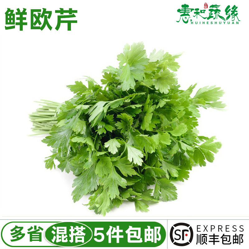 欧芹新鲜意大利平叶番西香料菜新鲜蔬菜调味料西餐厅用品250g 水产肉类/新鲜蔬果/熟食 其它 原图主图