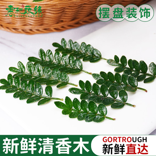 清香木新鲜摆盘花草蛋糕点缀叶子