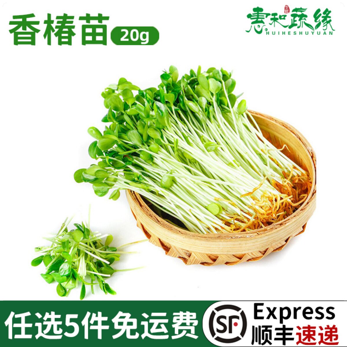 香椿苗新鲜可食用20g芽苗菜酒楼西餐日料冷艺摆盘装饰花草点缀
