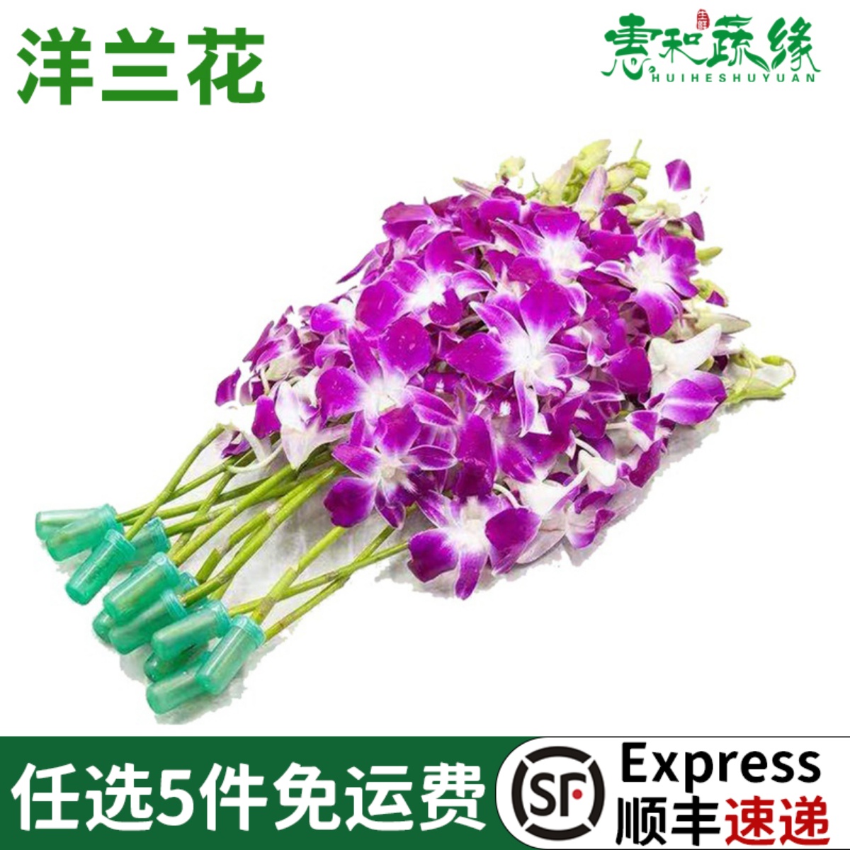 洋兰花新鲜火锅店刺身摆盘装饰