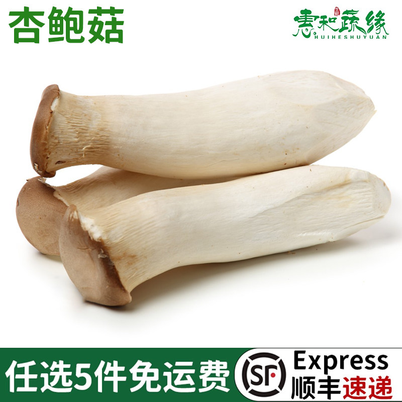 杏鲍菇新鲜菌菇5斤装顺丰蔬菜新鲜食用蔬菜肉厚鲜嫩蘑菇