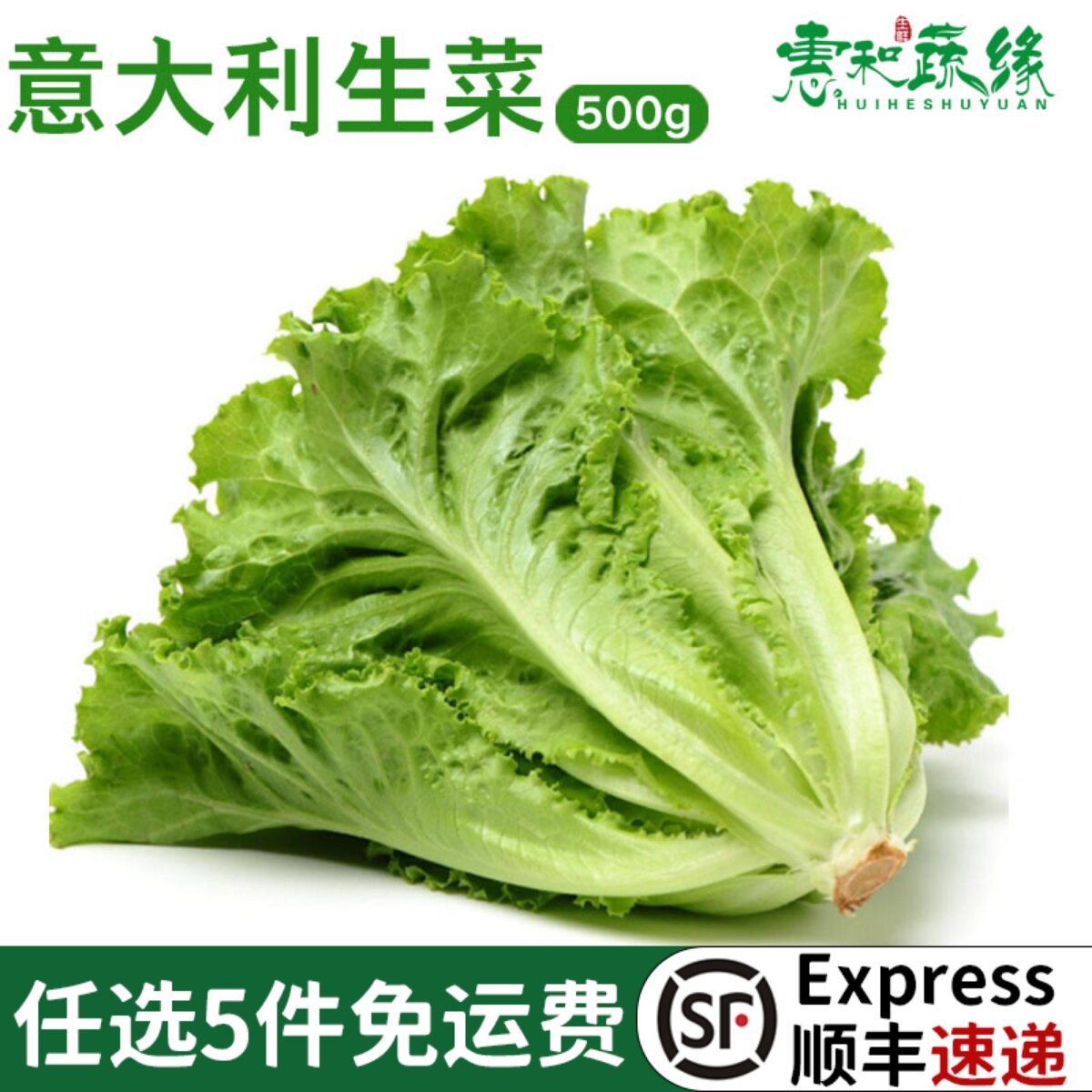 新鲜意大利生菜沙拉蔬菜