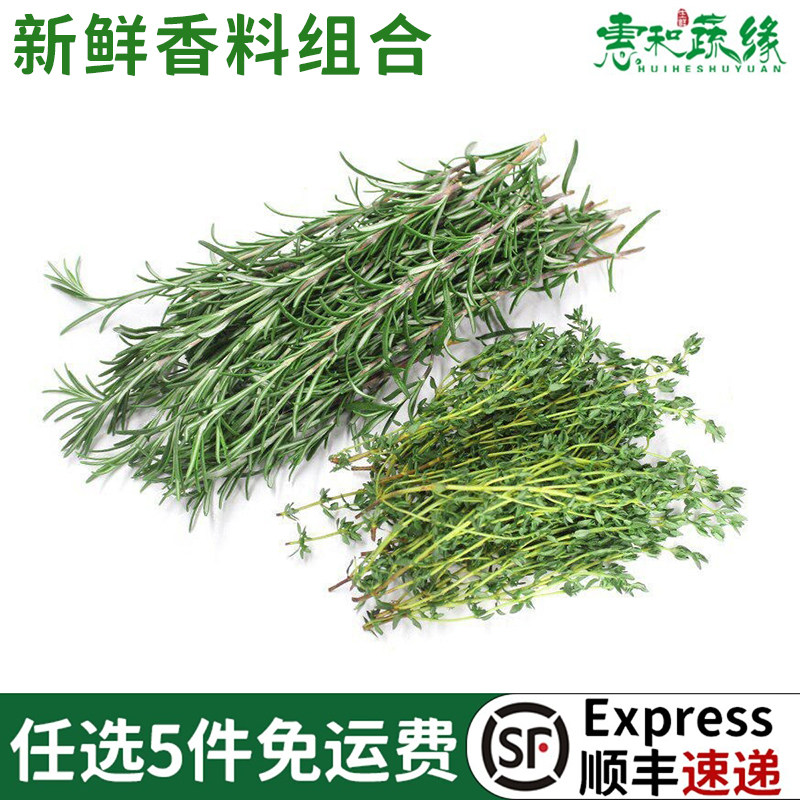 新鲜迷迭香百里香200g西餐牛排烘焙烧烤用料调料香料配料组合蔬菜