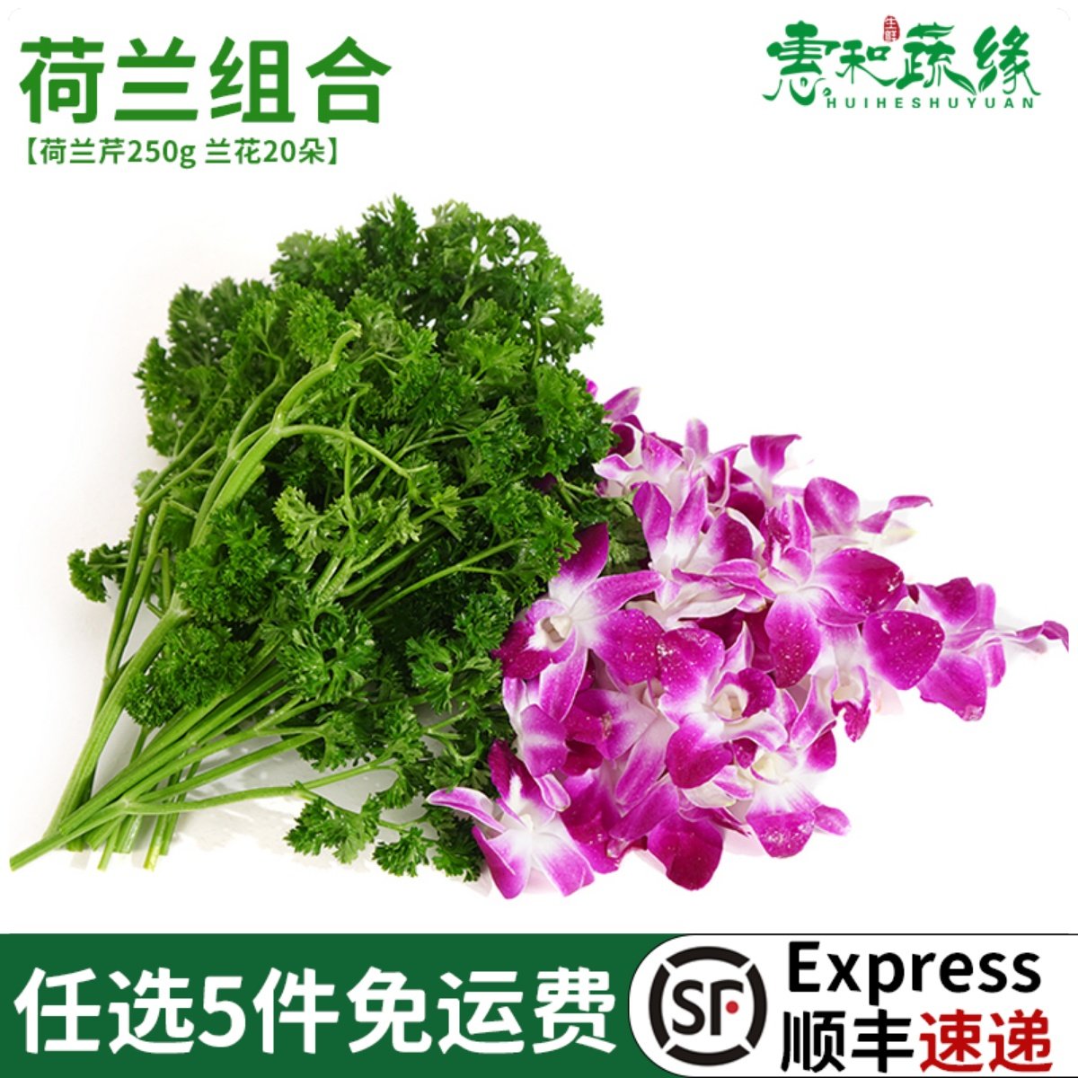 新鲜荷兰芹洋兰花组合酒楼火锅摆盘装饰点缀花草叶子法香兰花番西