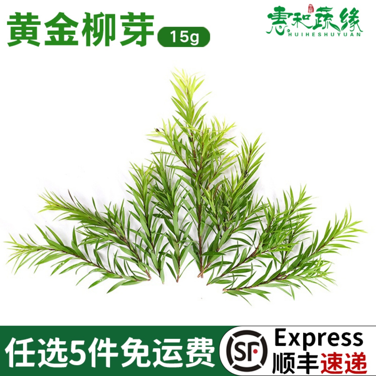 新鲜黄金柳芽15酒店餐厅摆盘装饰