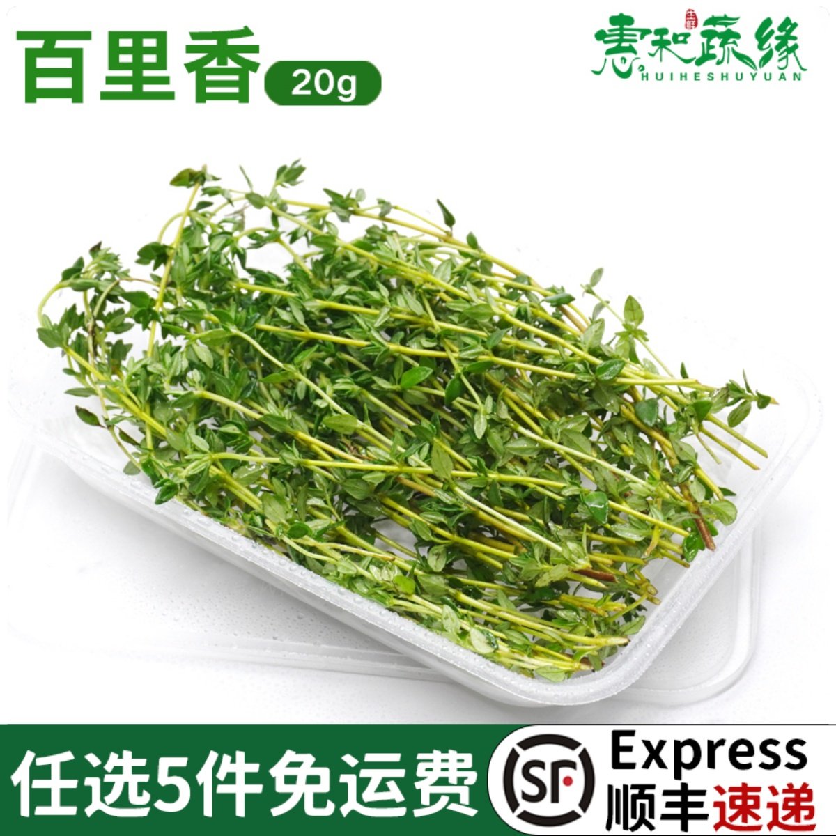 百里香新鲜煎牛排用摆盘装饰