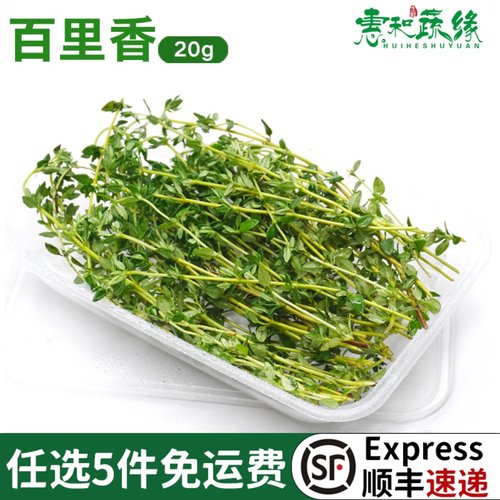 百里香新鲜煎牛排用摆盘装饰