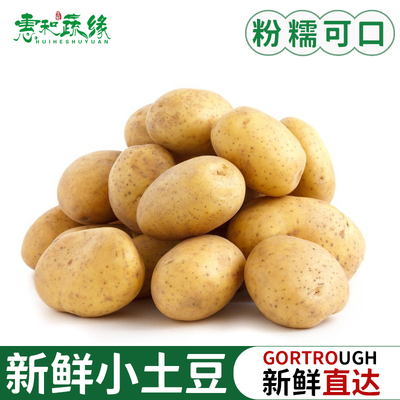 云南新鲜马铃薯农家迷你小土豆