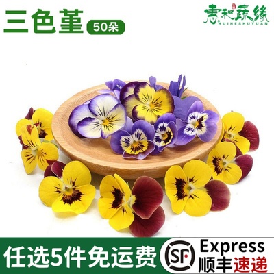 三色堇可食用花新鲜西餐酒楼摆盘装饰花草甜品蛋糕点缀叶子三色花