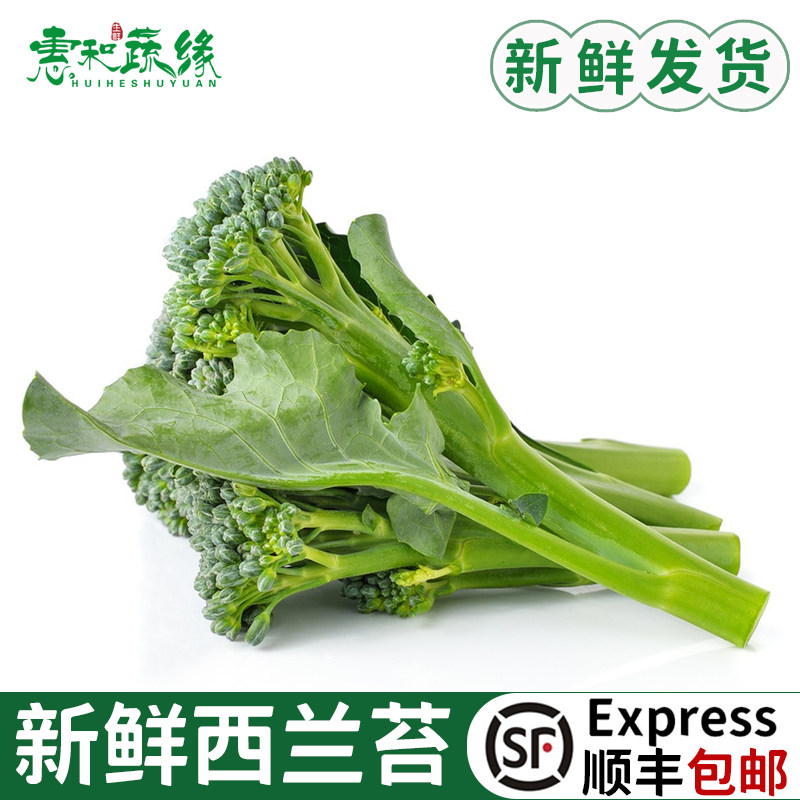 西兰苔新鲜时令蔬菜手指西兰花兰花苔青花苔青花菜500g