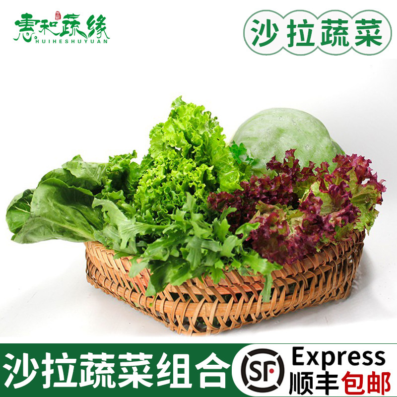 新鲜蔬菜沙拉组合装球苦菊红叶